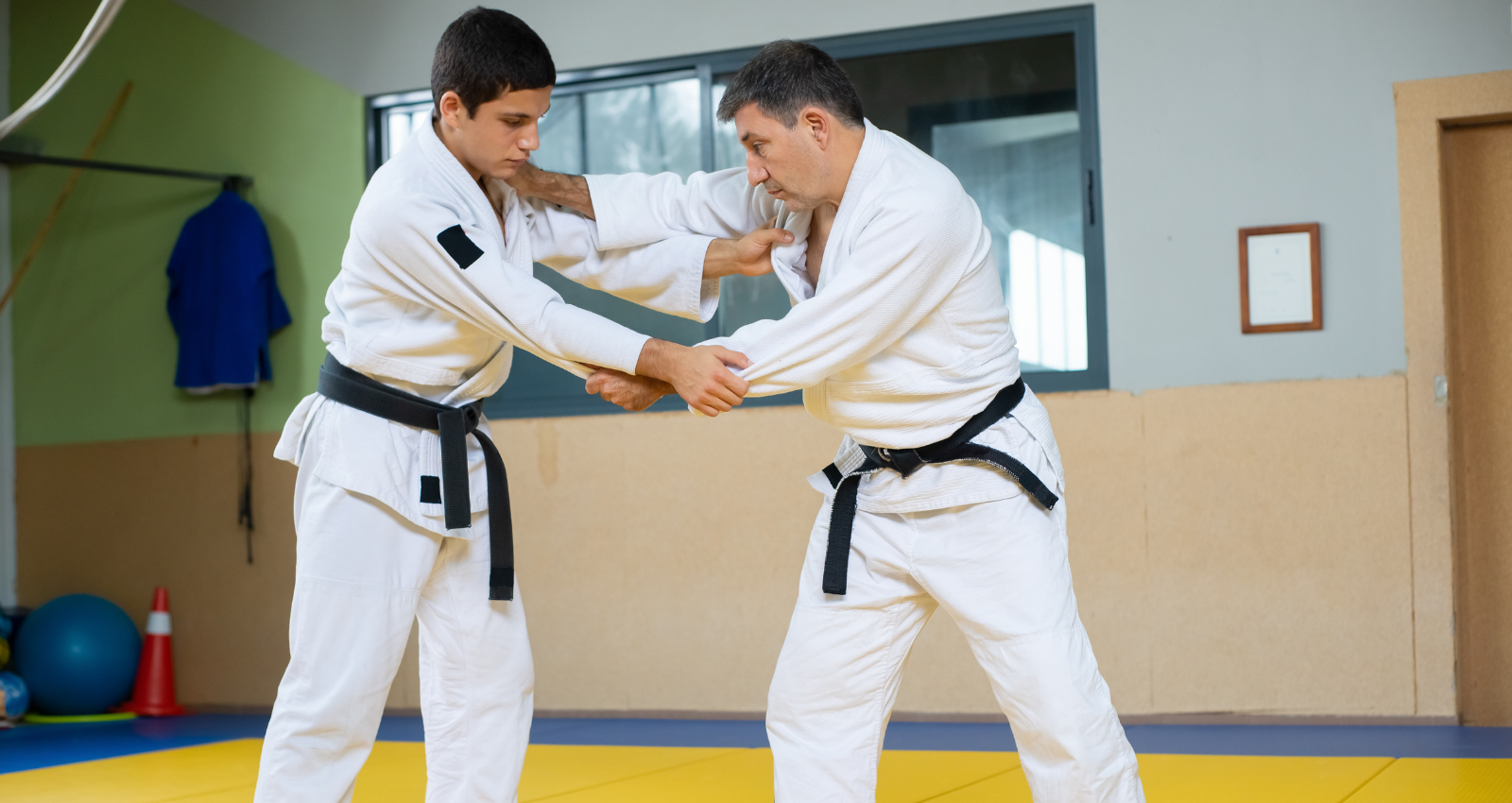 Jiu-Jitsu para Iniciantes