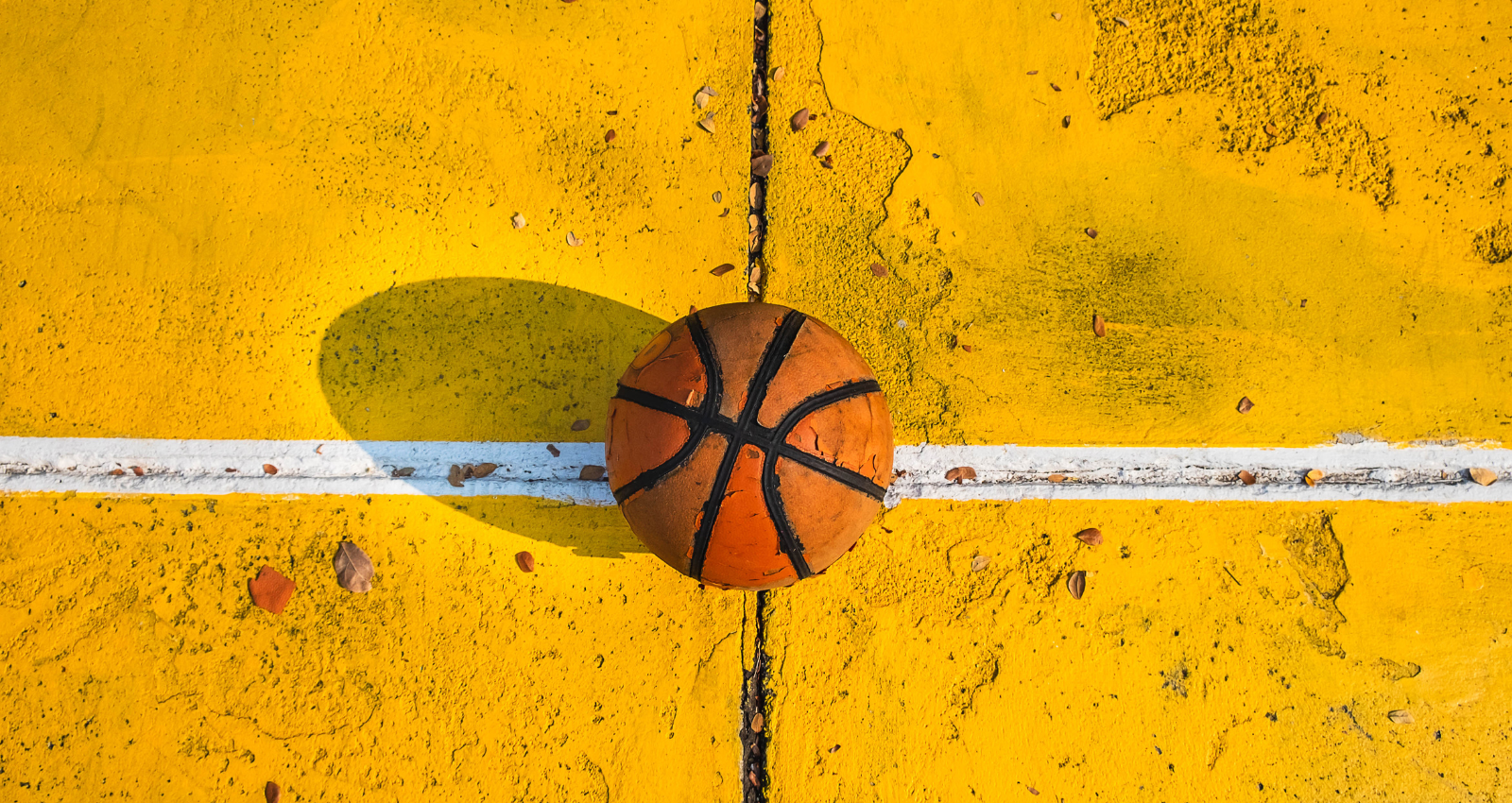 basquetebol