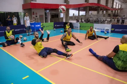 voleibol sentado