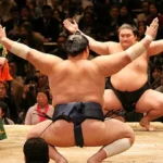O Que é Sumo? Entenda a Tradição e a Prática dessa Luta