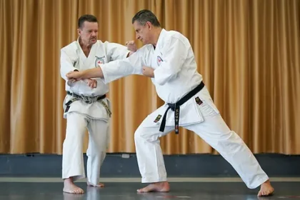 Wado-Ryu no Karatê: A Arte Marcial da Harmonia e Disciplina