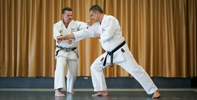 Wado-Ryu no Karatê: A Arte Marcial da Harmonia e Disciplina