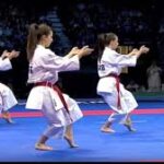Karate Kata