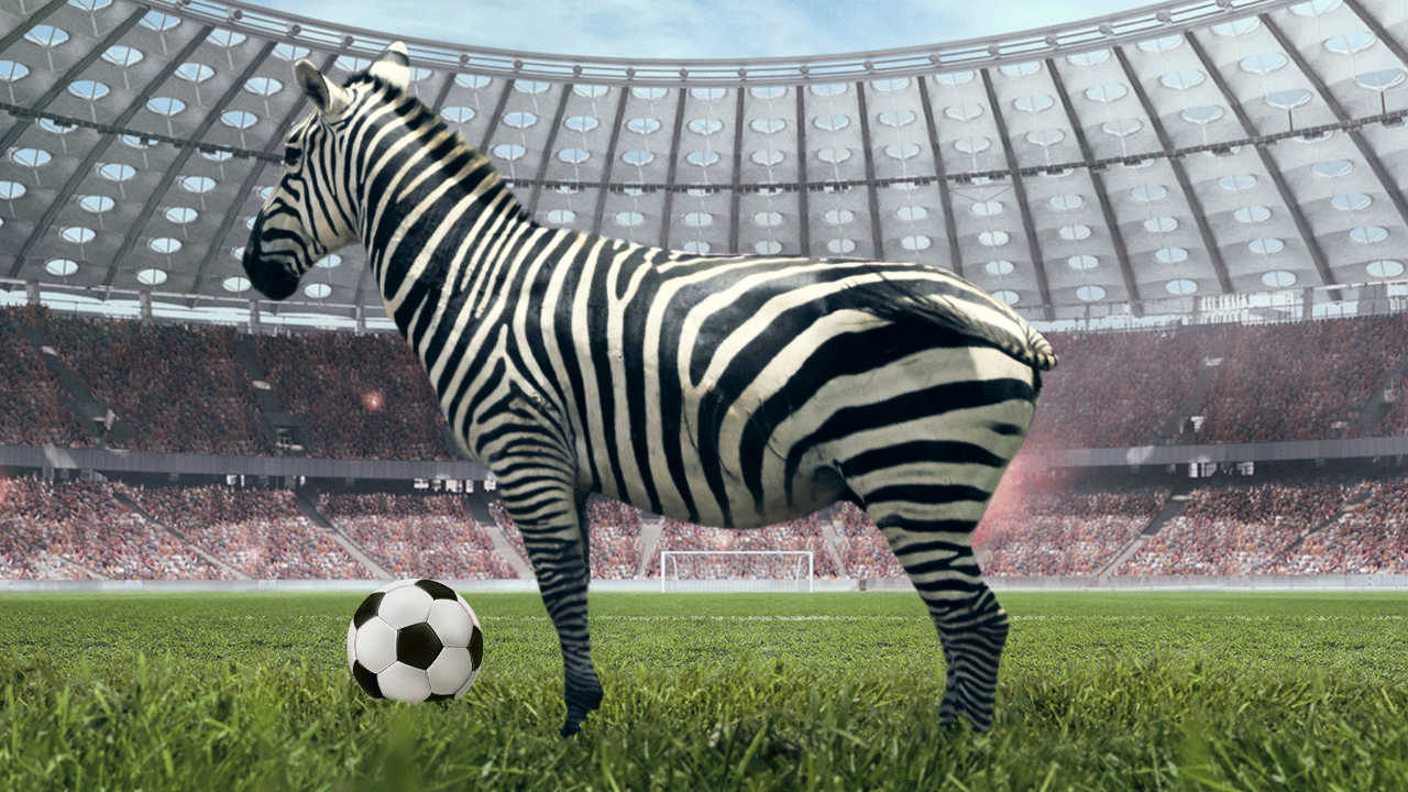 Zebra no Futebol: Surpresas que Transformam o Jogo