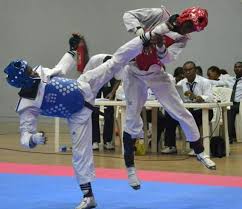 Princípios do Taekwondo: Os Fundamentos do Caminho Marcial