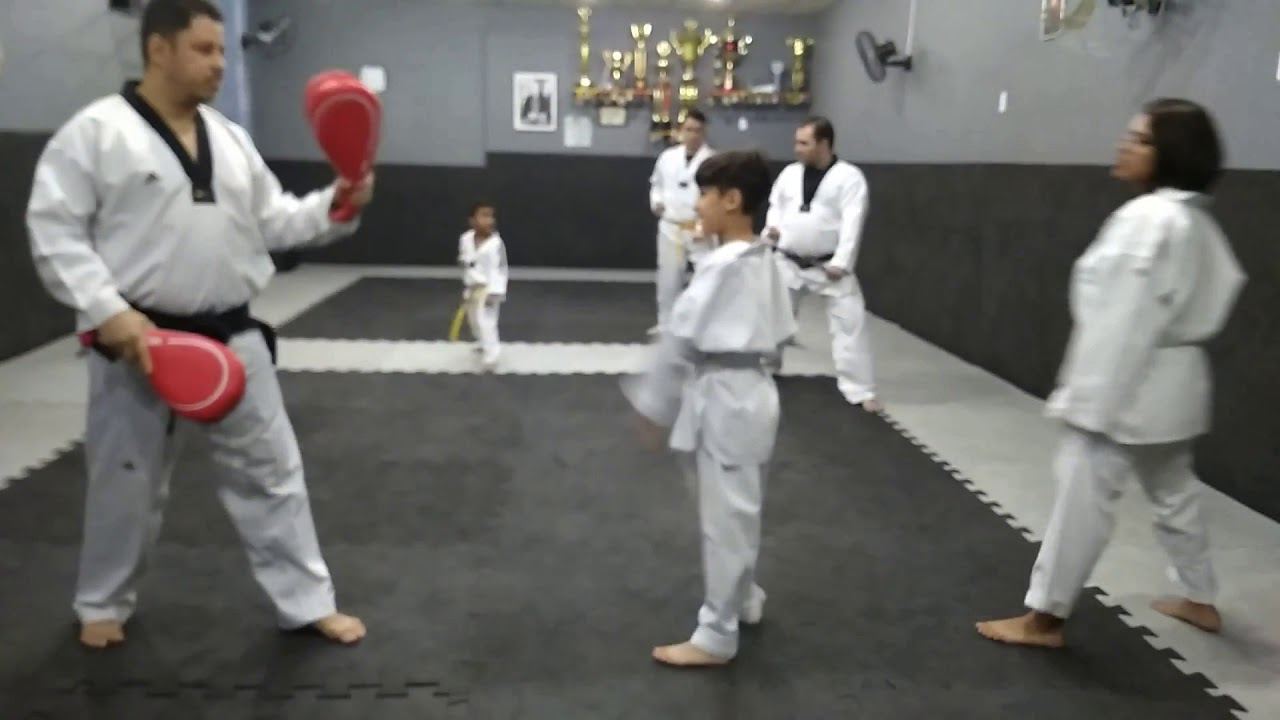 Aulas de Taekwondo para Iniciantes: Guia Completo e Prático