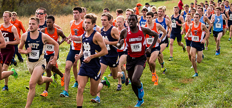 cross country no atletismo?