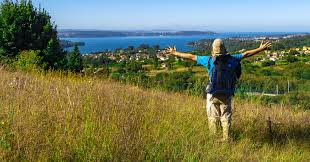 Explore o Caminho: Descubra Seu Estilo de Caminhada Perfeito