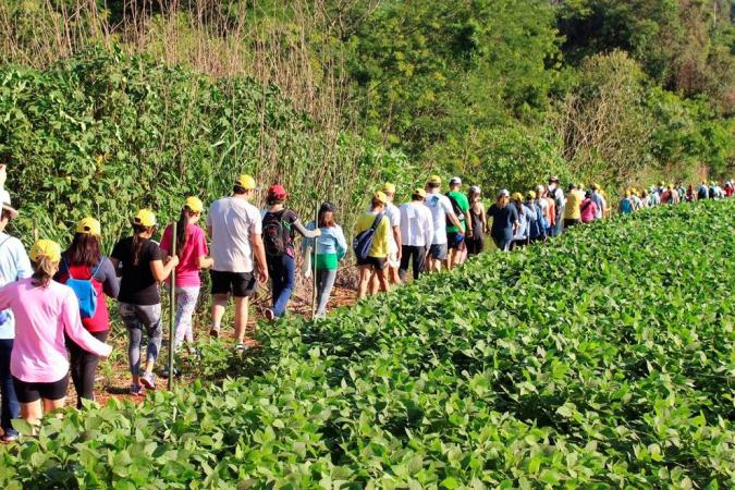 O Impacto da Caminhada na Cultura Popular