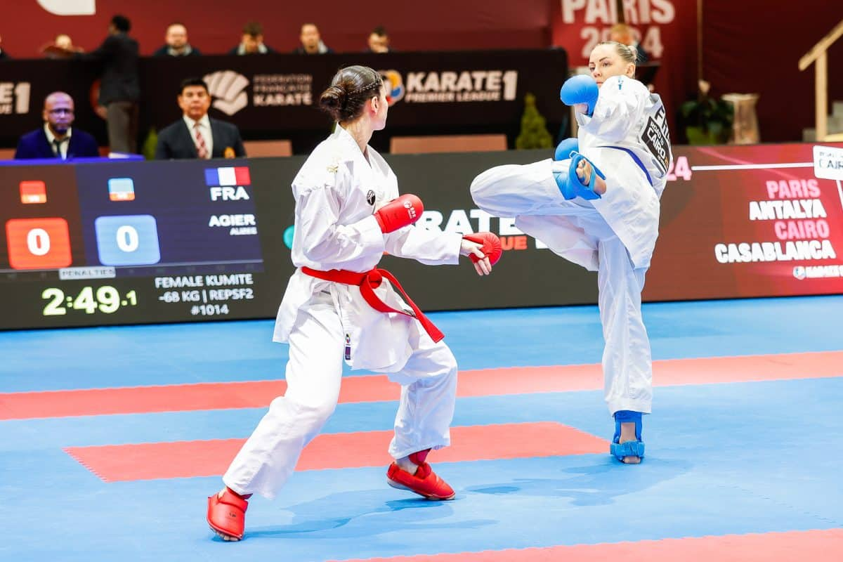 Técnicas de Karatê: Aprenda a Arte Marcial com Maestria