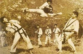 Taekwondo no Brasil: Cultura, Desafios e Oportunidades