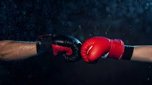 As Principais Regras do Boxe: Conheça e Entenda